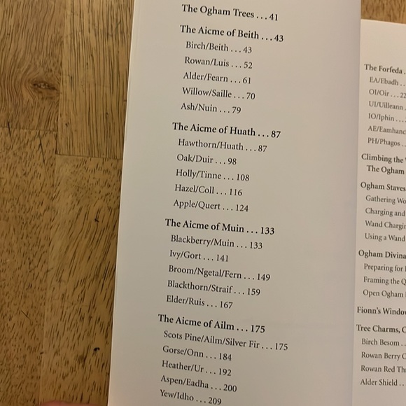 Celtic Tree Magic Ogham Lore and Druid mysteries by Danu Forest - Picture 4 of 8